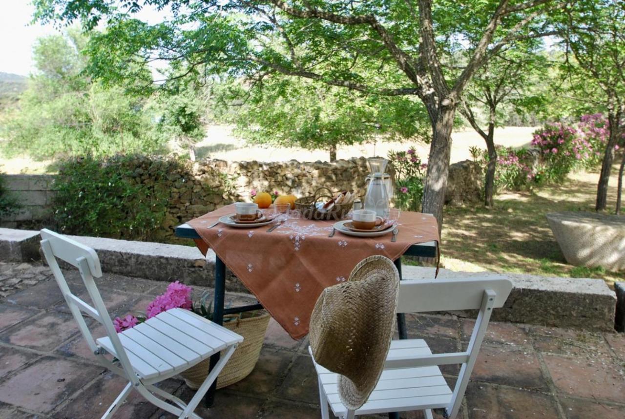 Finca La Vicaria Palomar Zufre エクステリア 写真