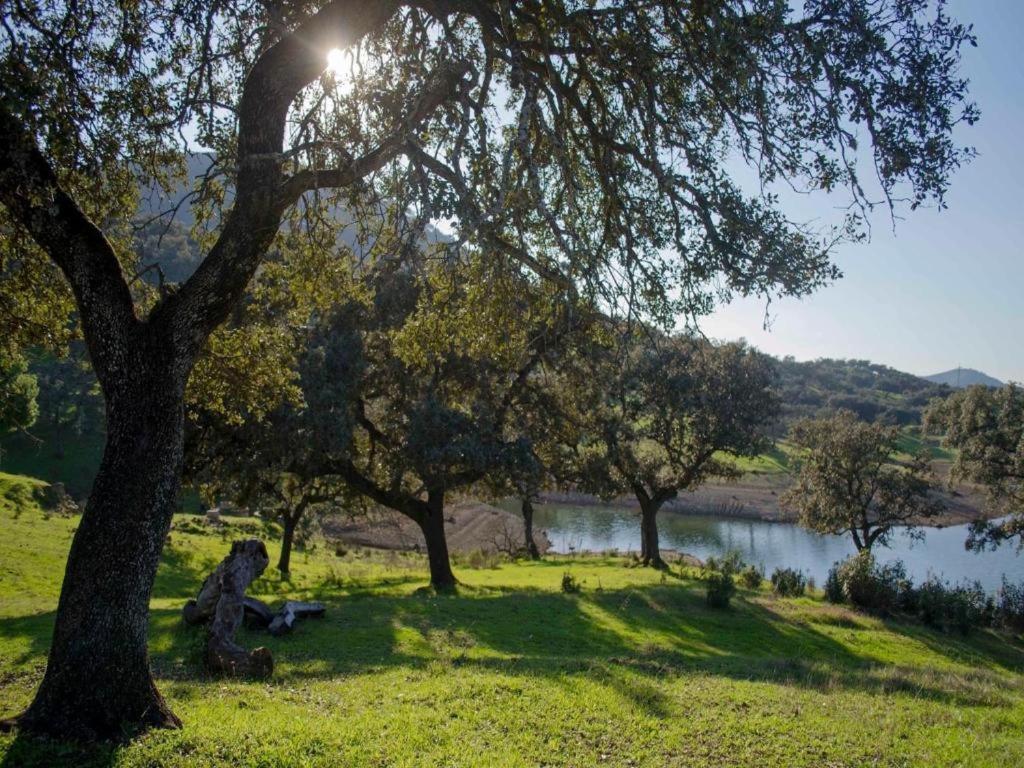 Finca La Vicaria Palomar Zufre エクステリア 写真