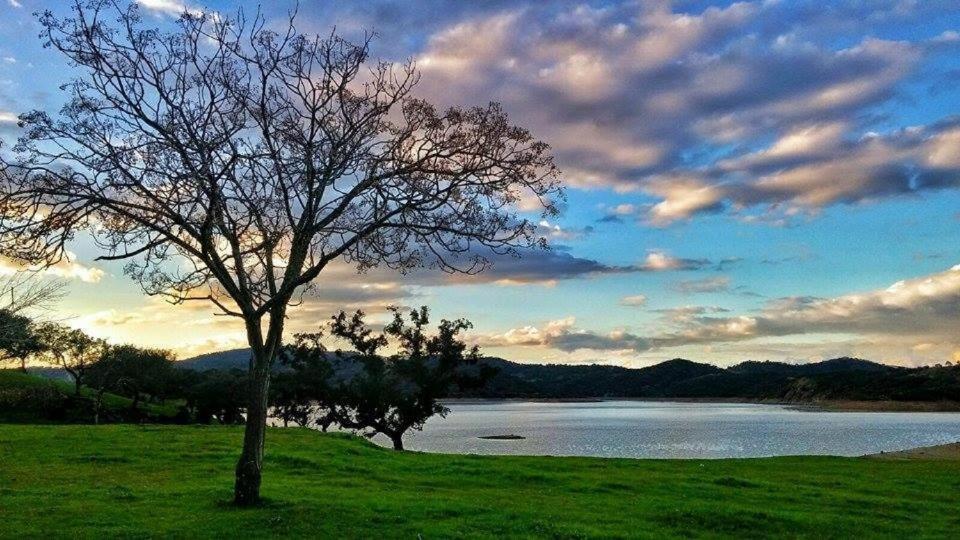 Finca La Vicaria Palomar Zufre エクステリア 写真