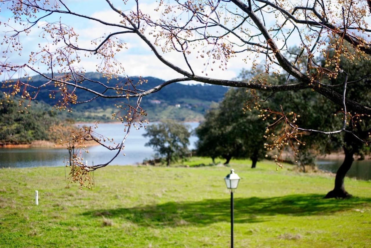 Finca La Vicaria Palomar Zufre エクステリア 写真
